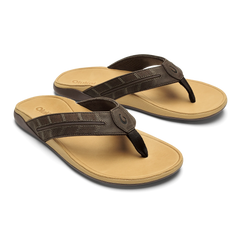Tuahine Palm  -  Dk Java / Golden Sand